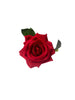 tos-useast2a-i-tulkllf4y5-euttp/c17887a454da4c41ac8dc6913501ef17