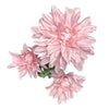 tos-useast2a-i-tulkllf4y5-euttp/d03bd7837f454126b64ad1bfd4f2376c